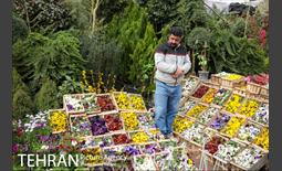 ejtemaei tourism pass tehran photos