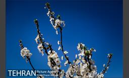 ejtemaei tourism pass tehran photos