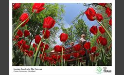 ejtemaei tourism pass tehran photos