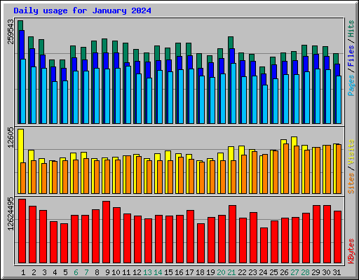 Daily usage for January 2024