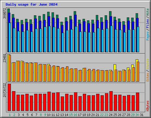 Daily usage for June 2024