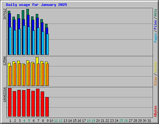 Daily usage for January 2025