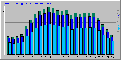 Hourly usage for January 2022