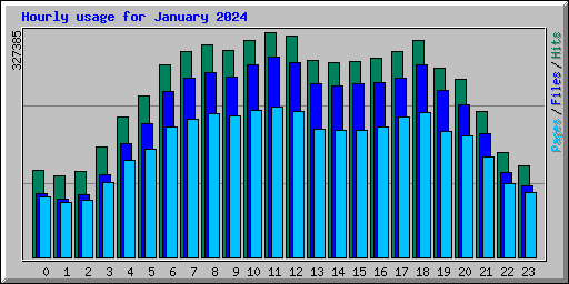 Hourly usage for January 2024