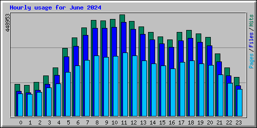 Hourly usage for June 2024