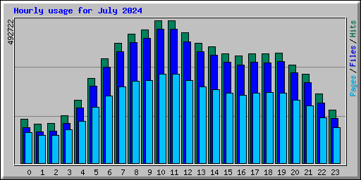 Hourly usage for July 2024