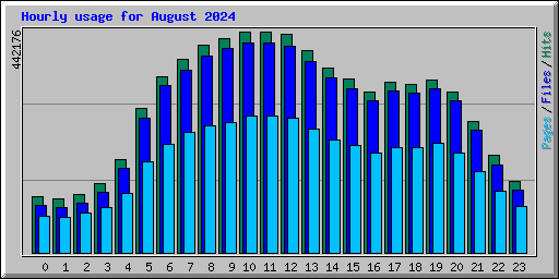 Hourly usage for August 2024