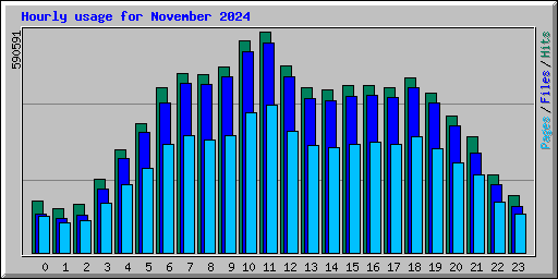 Hourly usage for November 2024