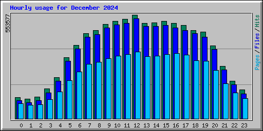 Hourly usage for December 2024