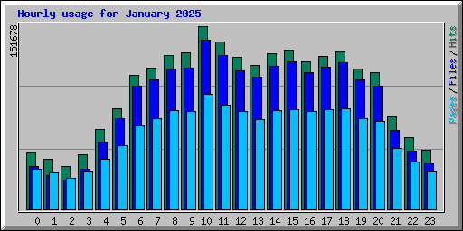 Hourly usage for January 2025